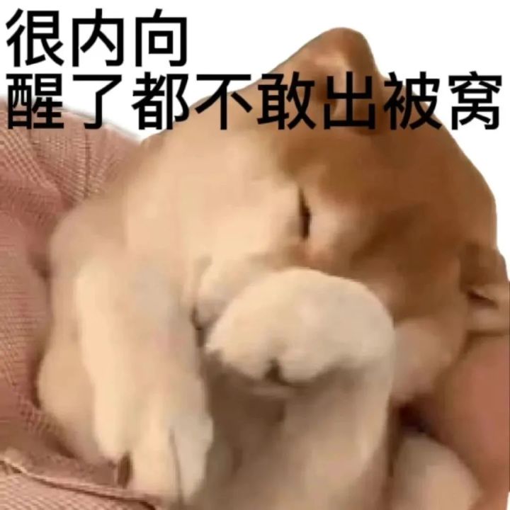 希望别搞什么进化宠截图