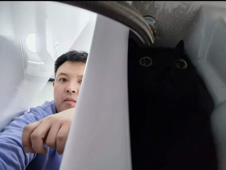 预告:整了点好活截图