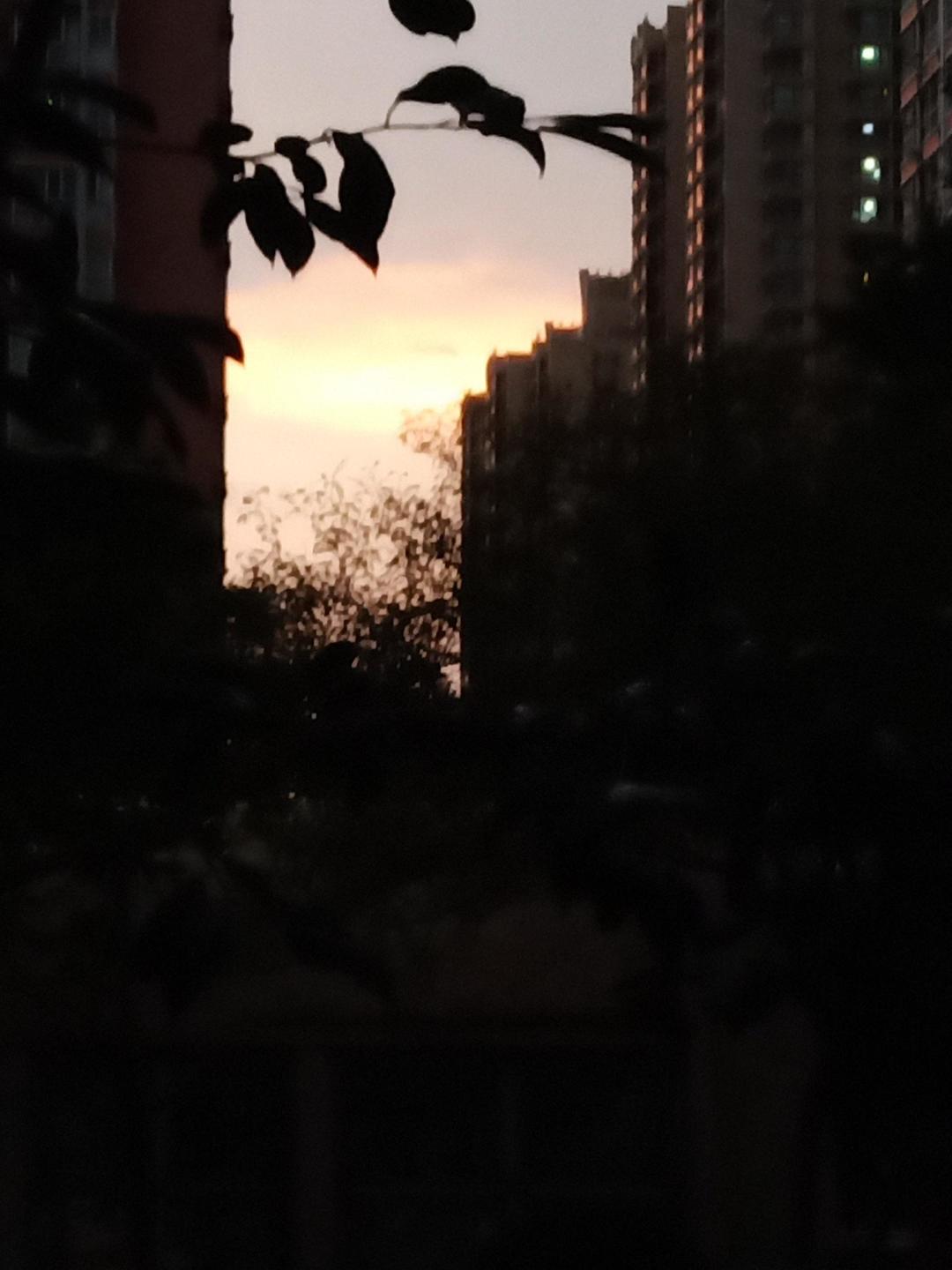 动态图片 5