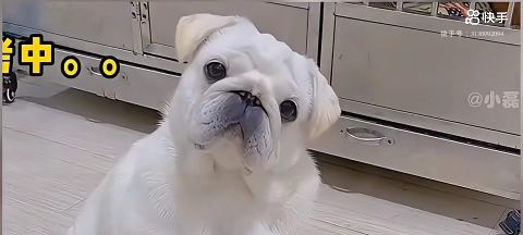 我的世界 1