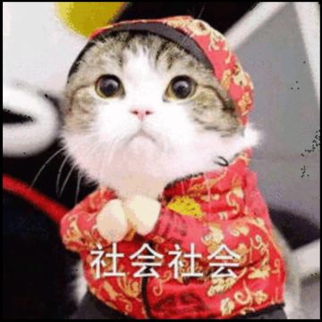 说些新人入坑的必须知识，少走弯路