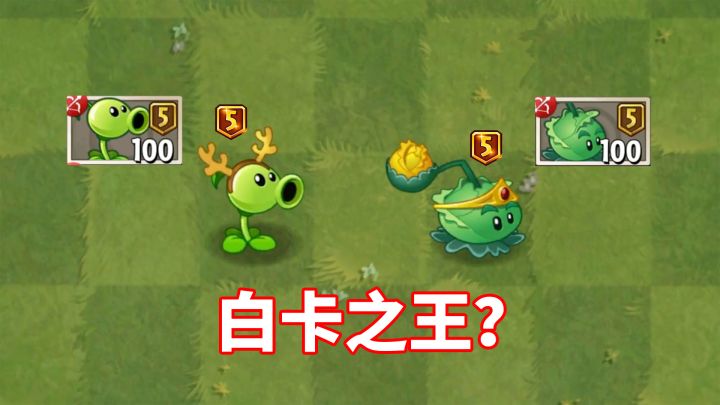 pvz2：豌豆射手和卷心菜投手，谁才是白卡之王？截图
