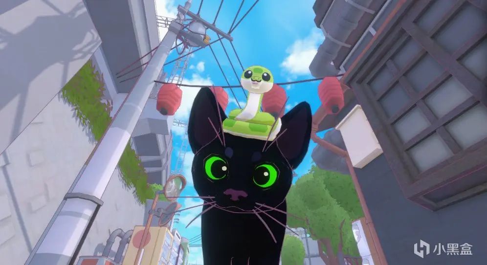 小猫咪,大城市,迎新春,火马年 2