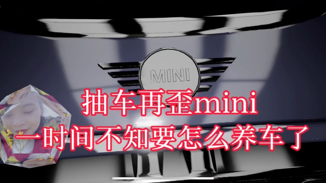 video-3946224