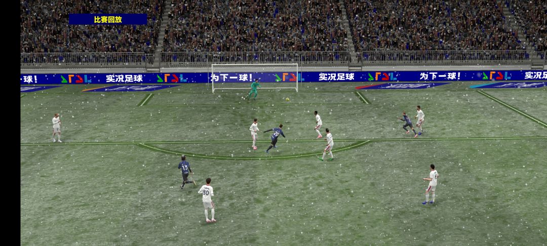 飞雪连天射白鹿 2