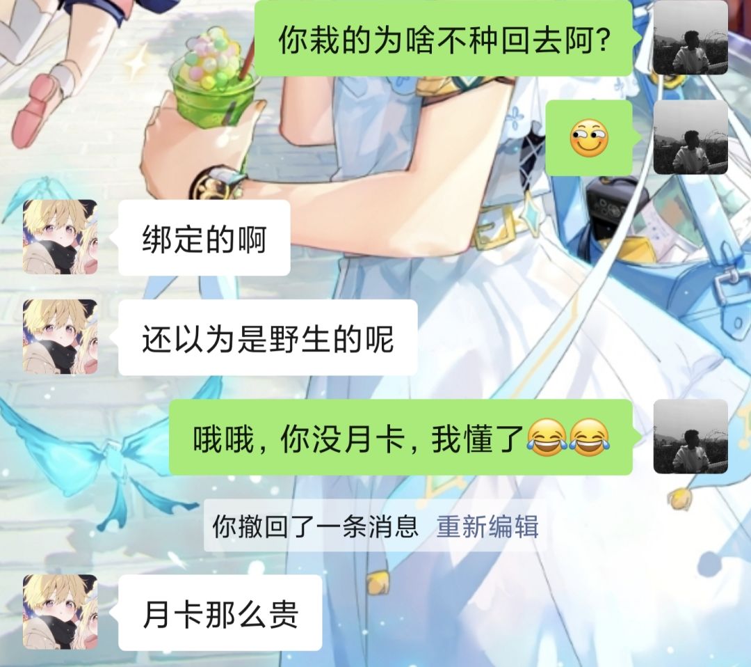 动态图片 7