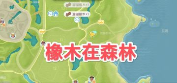 5.29心动小镇萤石溜溜橡木具体位置