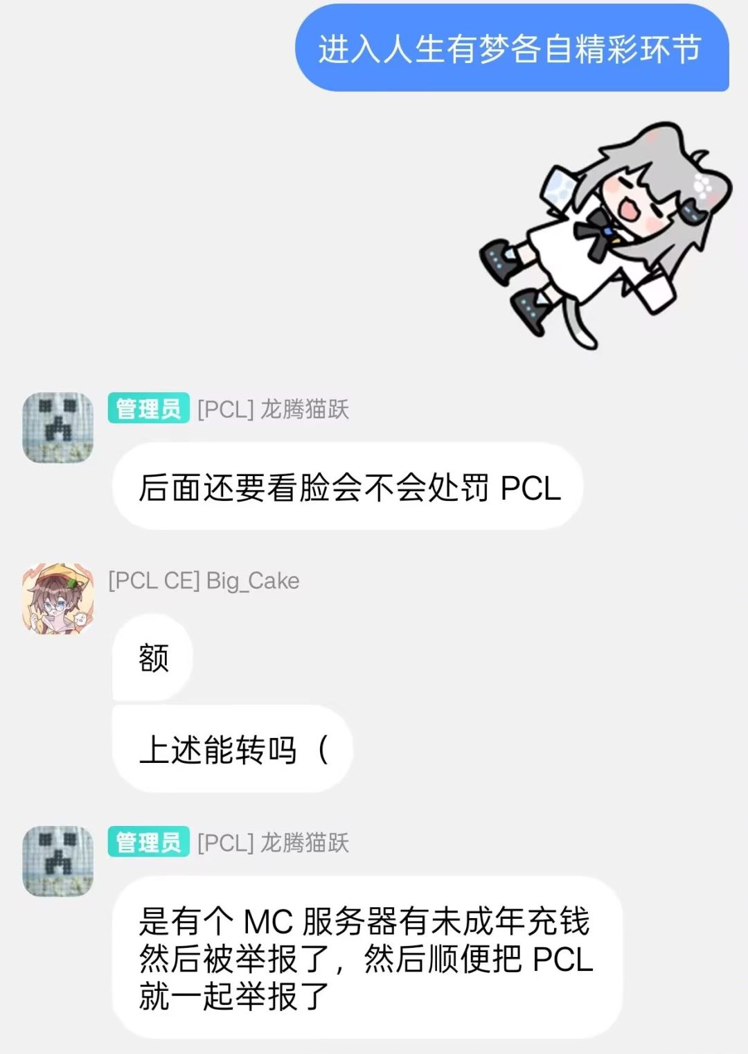 pcl坠机的证据 4