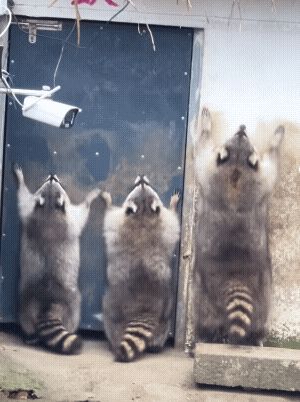 买号截图