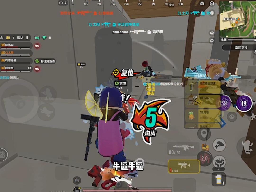 video-4778759