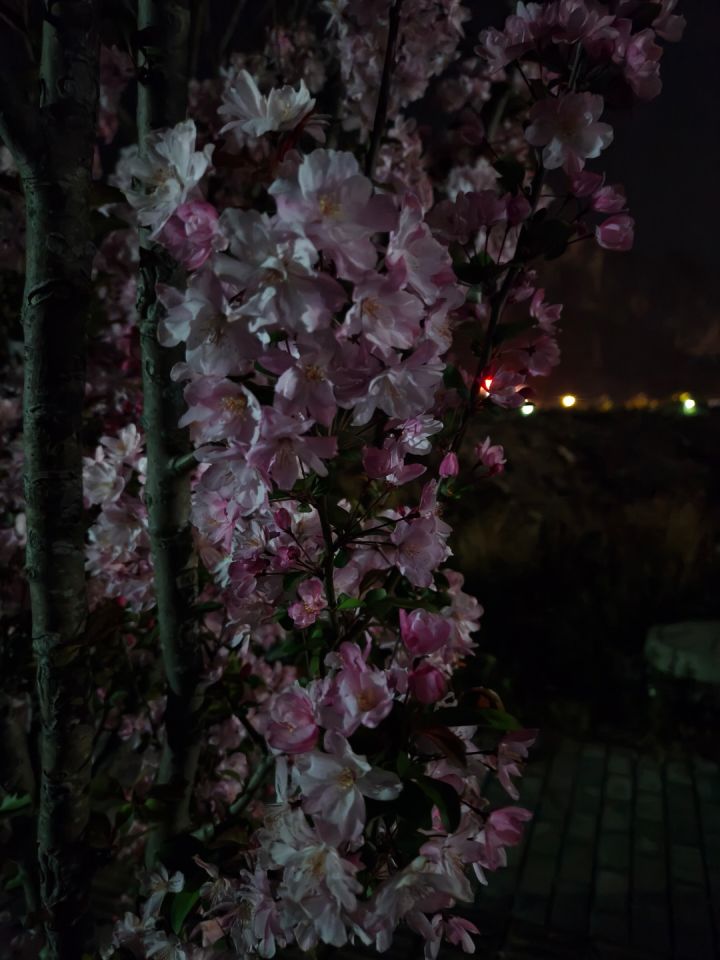 有没有友友来个优惠码截图