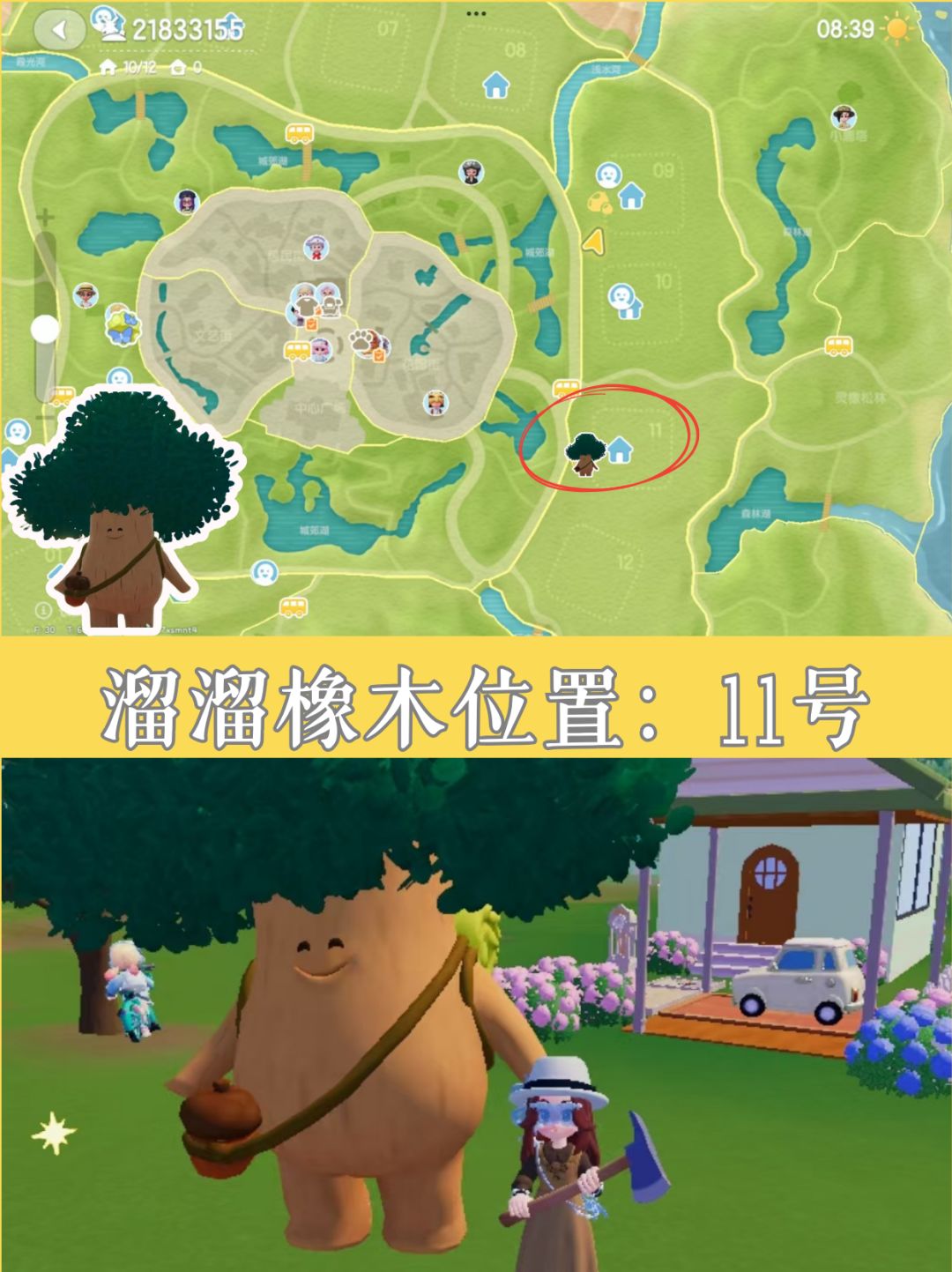 8.26小镇速报丨今日萤石橡木位置 2