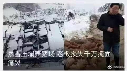 动态图片 4