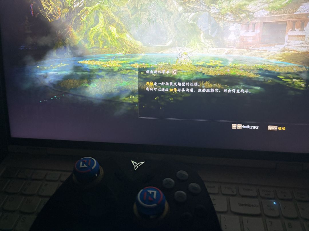 动态图片 3