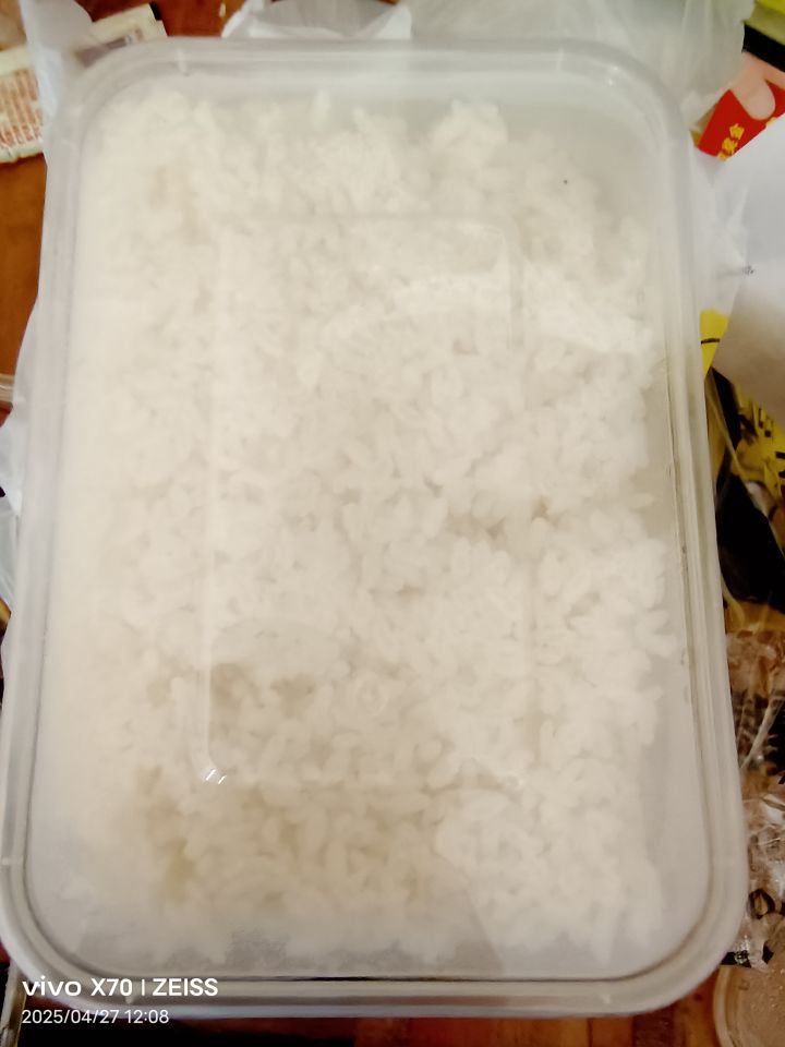 还不上班？截图