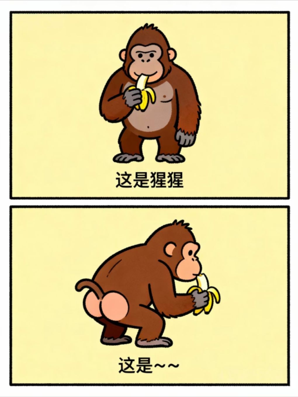 抽象谐音梗之漫威篇 6