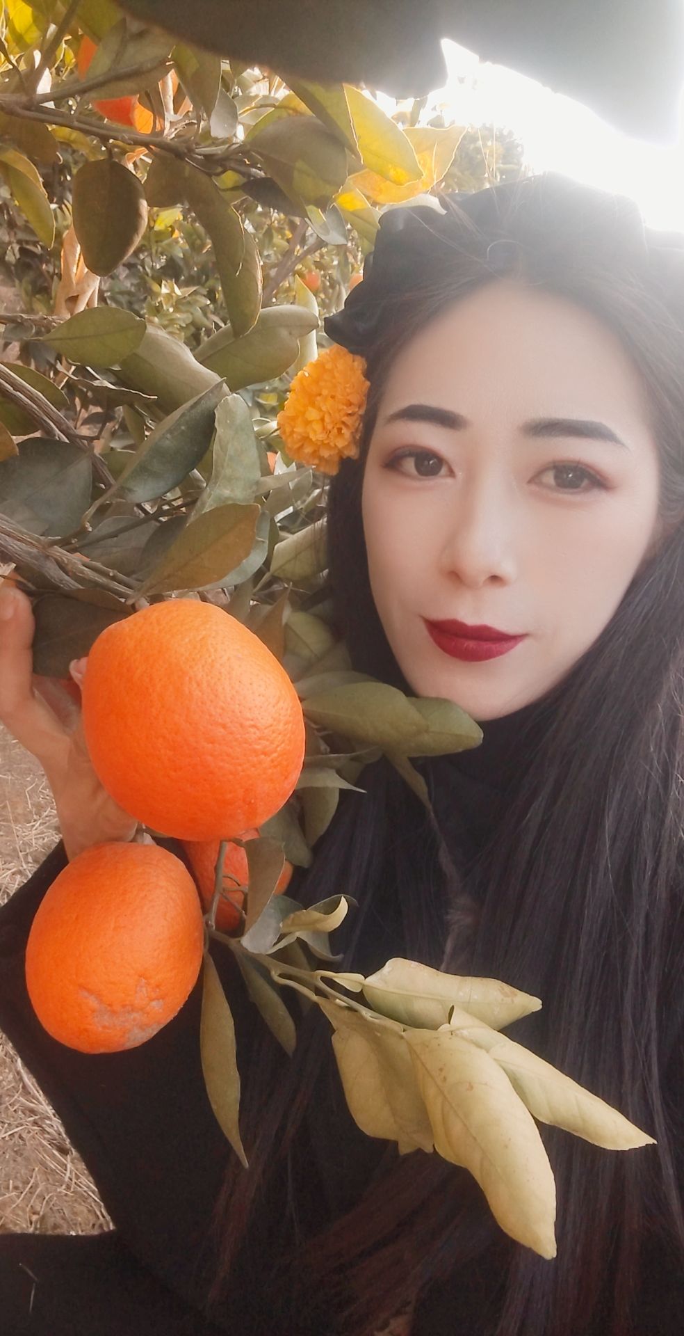 动态图片 1