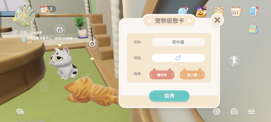 猫咪领养究极二选一 2
