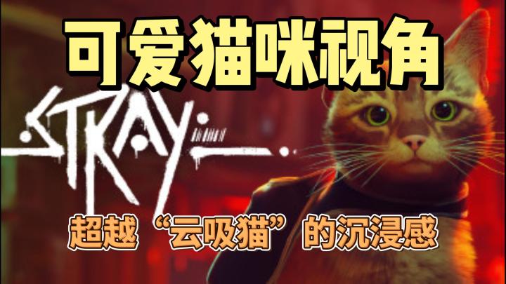 《Stray》:当猫咪成为赛博世界的“天选之子”截图