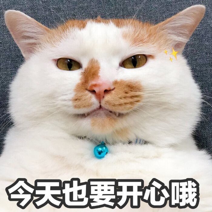萌新想入坑 1