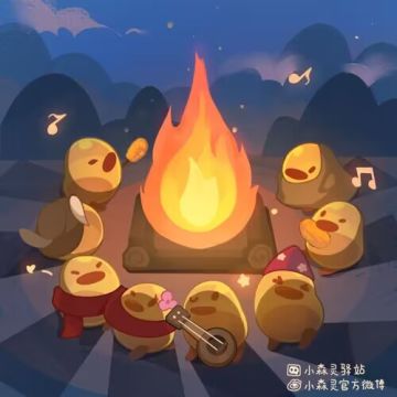 森林电台丨篝火晚会·大森林活动预告