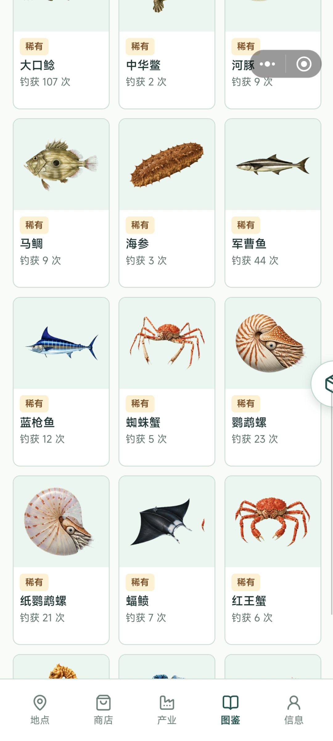 动态图片 3
