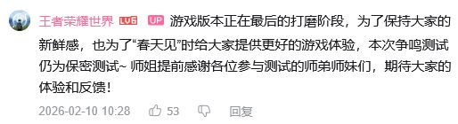 王世界测试 公测快了! 3
