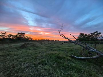 11月13日第三周保底2万幻境