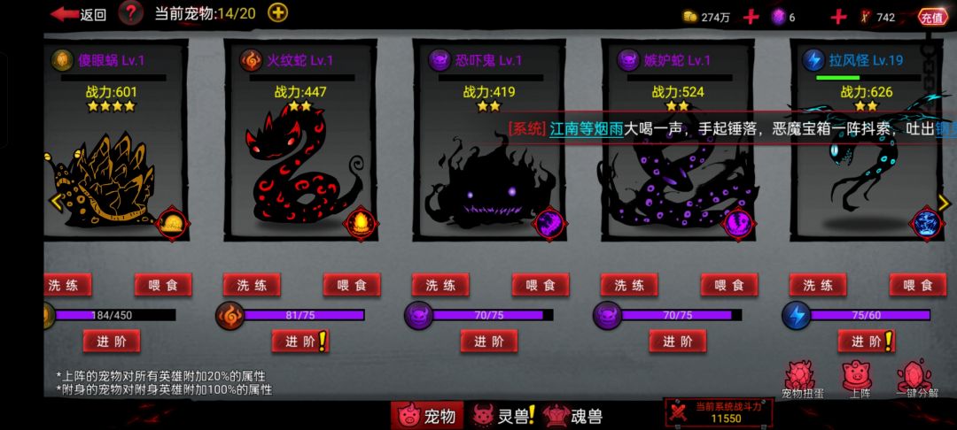 除了红宠要养,剩下的金宠要养谁 1
