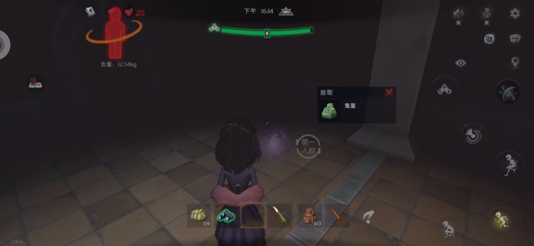野生大金 3