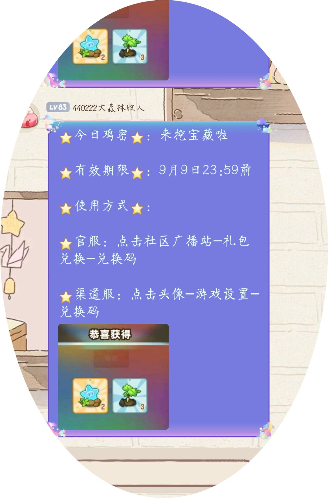 鸡密:来挖宝藏啦 3