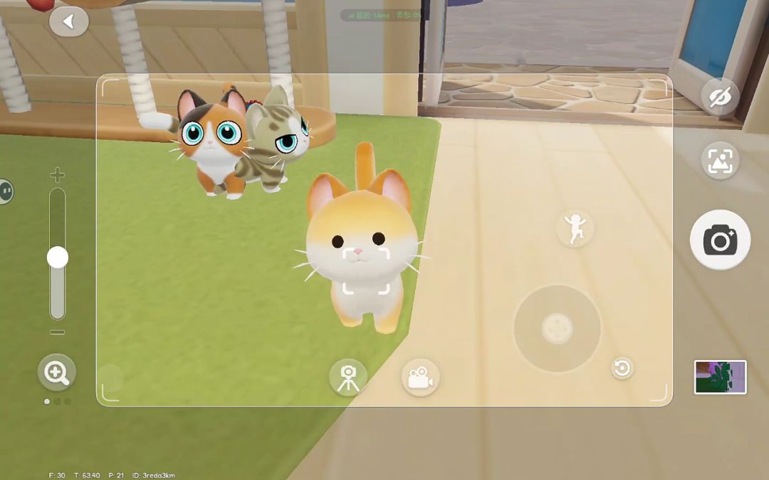 刷出了一只好萌的猫啊 1