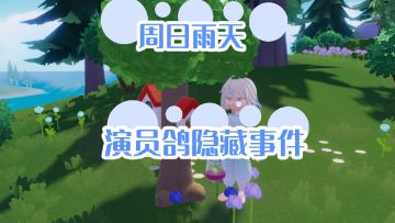周日雨天观鸟隐藏事件