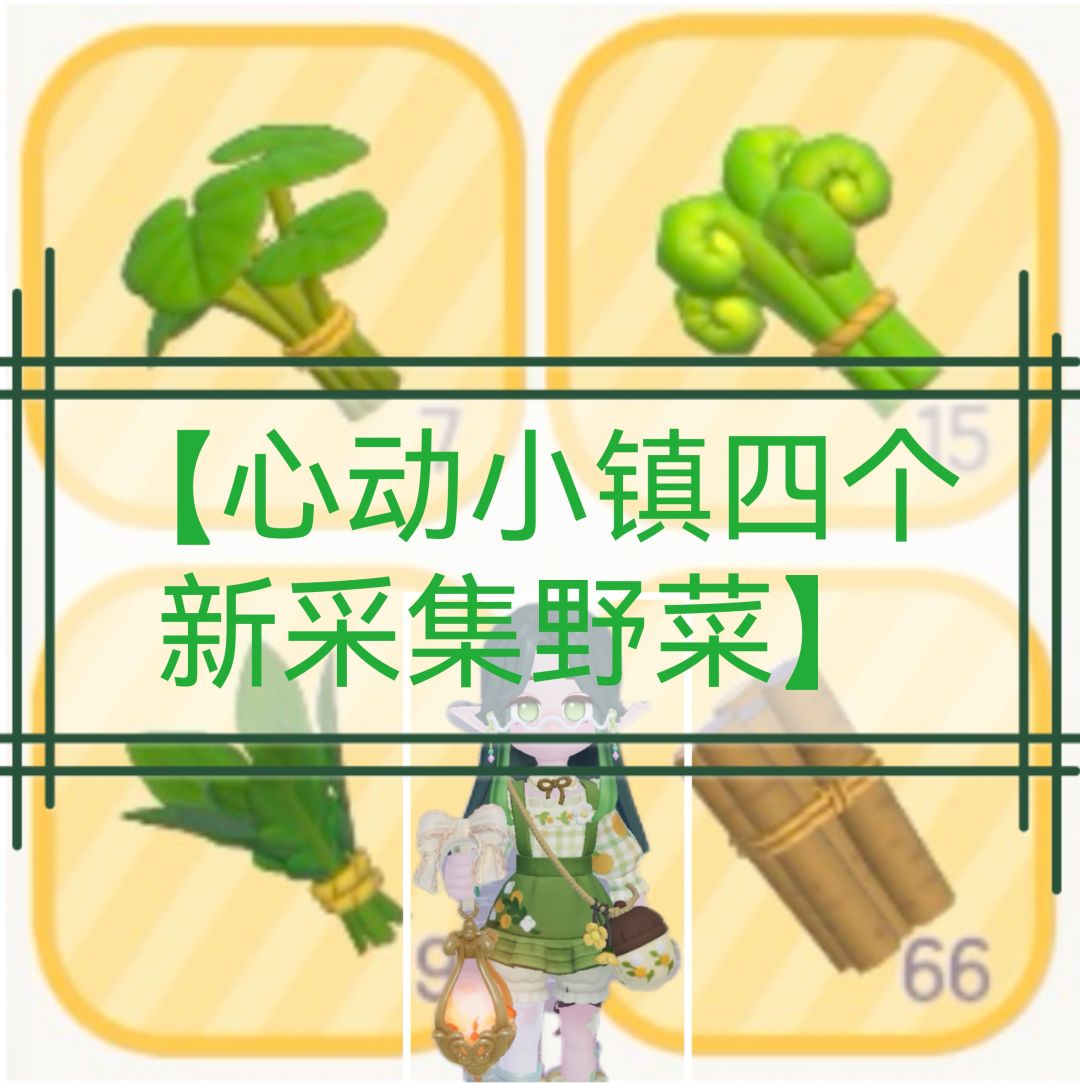【心动小镇四个新采集野菜】 1