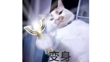 新使魔: 伊邪那美