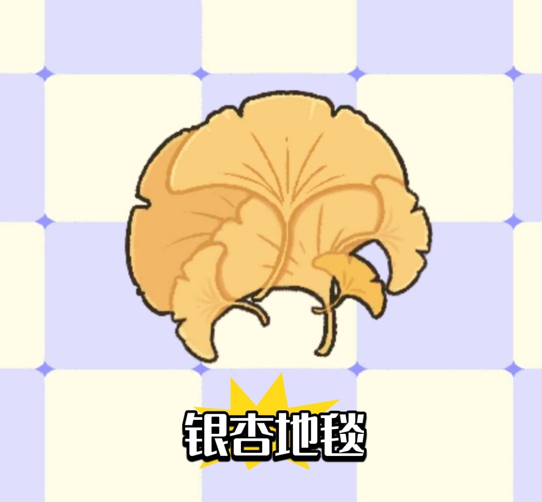 ［森韵织毯］全部地毯颜色 3
