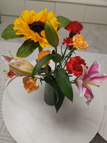 道友们！来个头脑风暴，创造技能效果