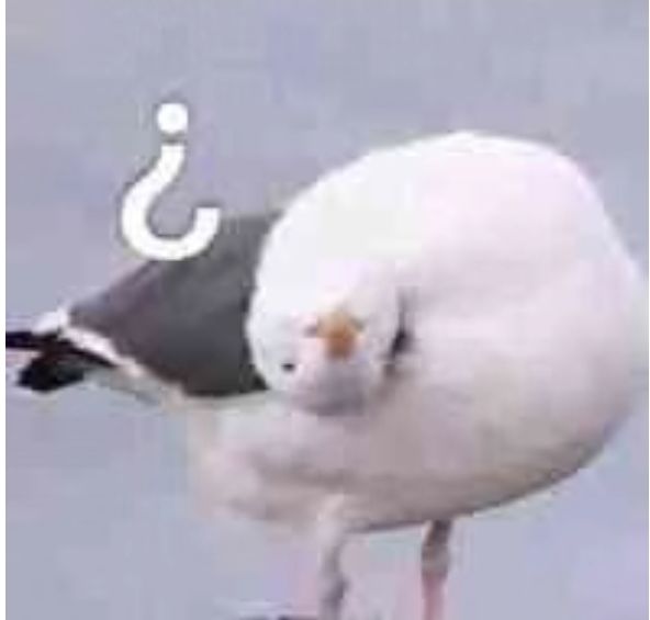 有没有那种好玩的买断制游戏截图