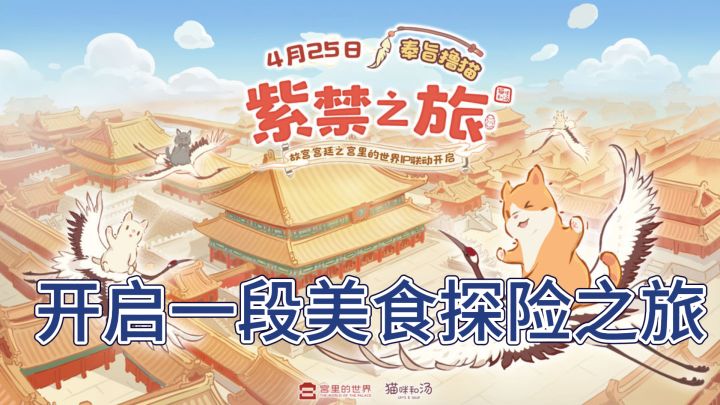 猫咪与汤的奇妙组合,开启一段美食探险之旅截图