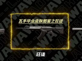 第10集｜瓦手毕业皮肤图鉴之狂徒视频。