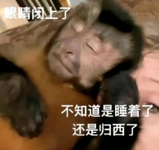等神偷(不是 2