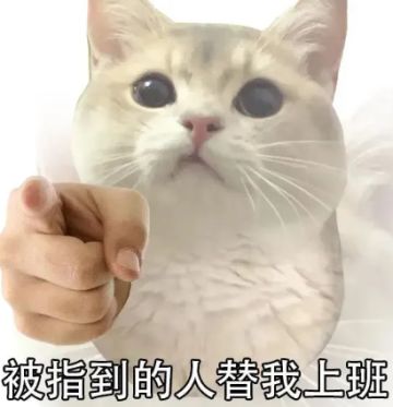 🎉恭喜！您已解锁替雫酱上班的机会？！