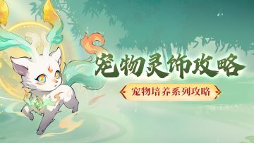 53个宠物灵饰技能都有什么用？我该怎么选？这篇攻略给你答案！