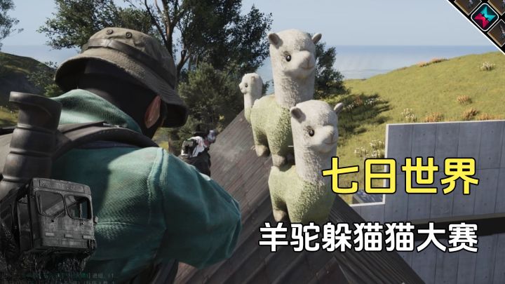 七日世界永恒岛躲猫猫大赛,变身羊驼你能找到吗截图