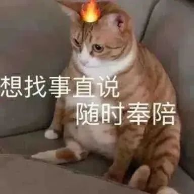 花牌仙人牌过于好截图