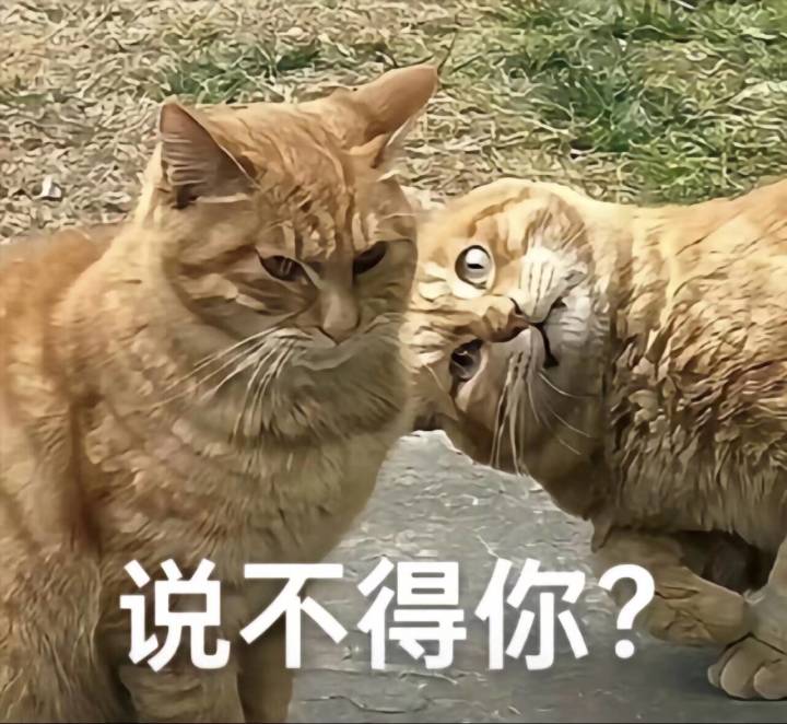 干,才玩几天就开削弱。截图