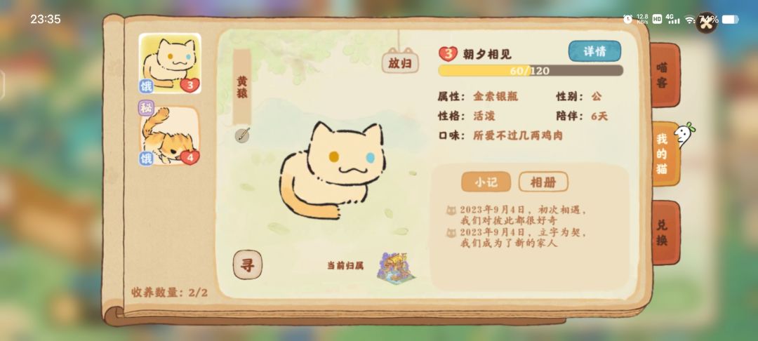 为什么天天有喂,喂了多少猫都还是饿? 1