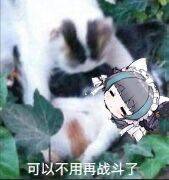 下次上号就是等npc的bug修复了 2