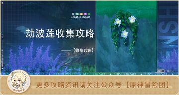 【采集路线】纳西妲即将实装 快来提前攒劫波莲吧~