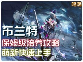 「鸣潮」布兰特保姆级培养攻略，兼具输出与生存的“六边形战士”